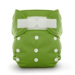 Thirsties Duo AIO Cloth Diaper Review