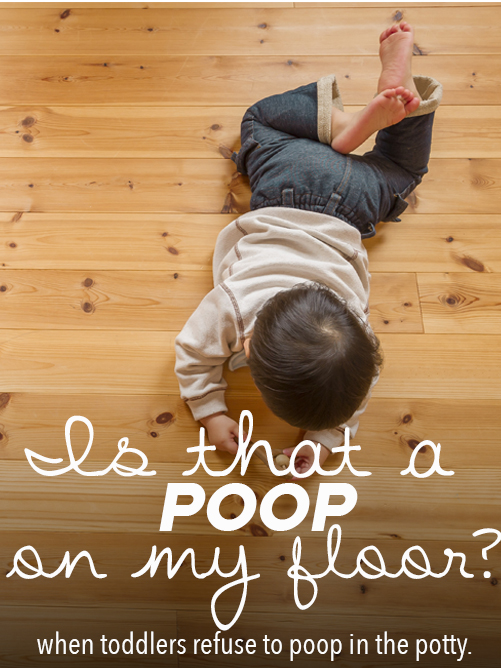 Is that a Poop on my Floor!?  When Toddlers Won’t Poop on the Potty