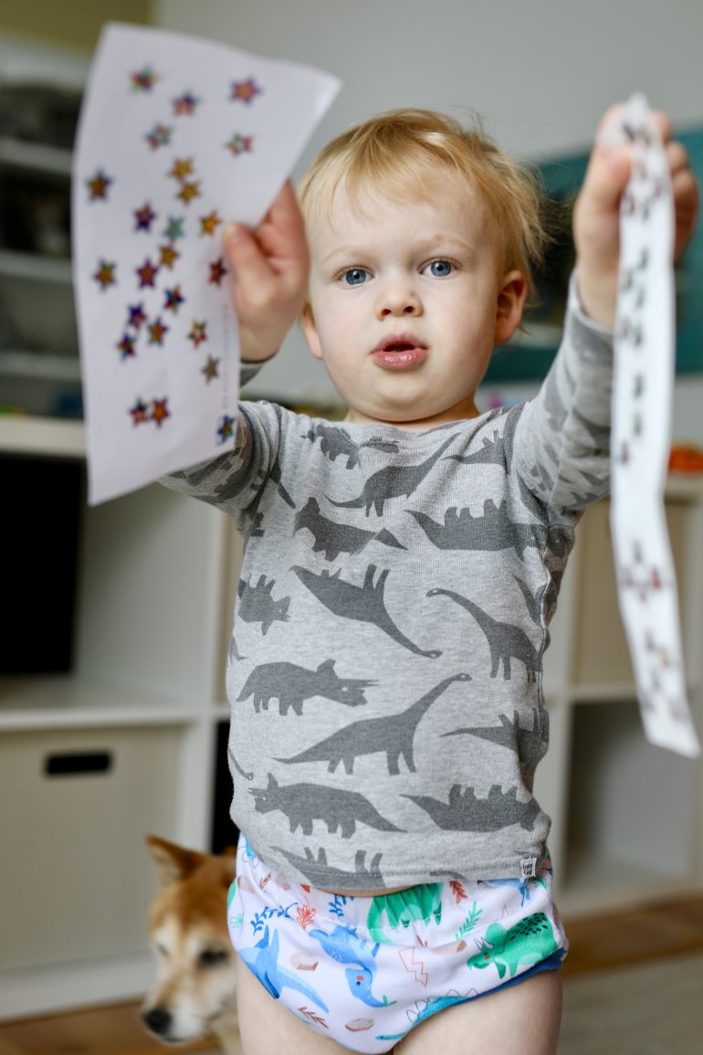 Thirsties Potty Training Pant Review Dirty Diaper Laundry